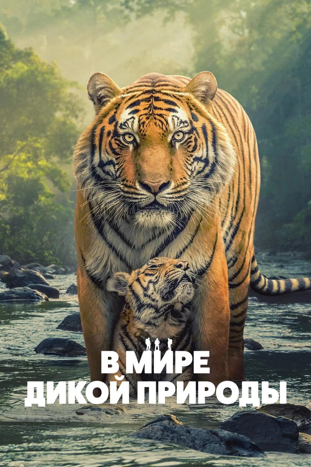 В мире дикой природы